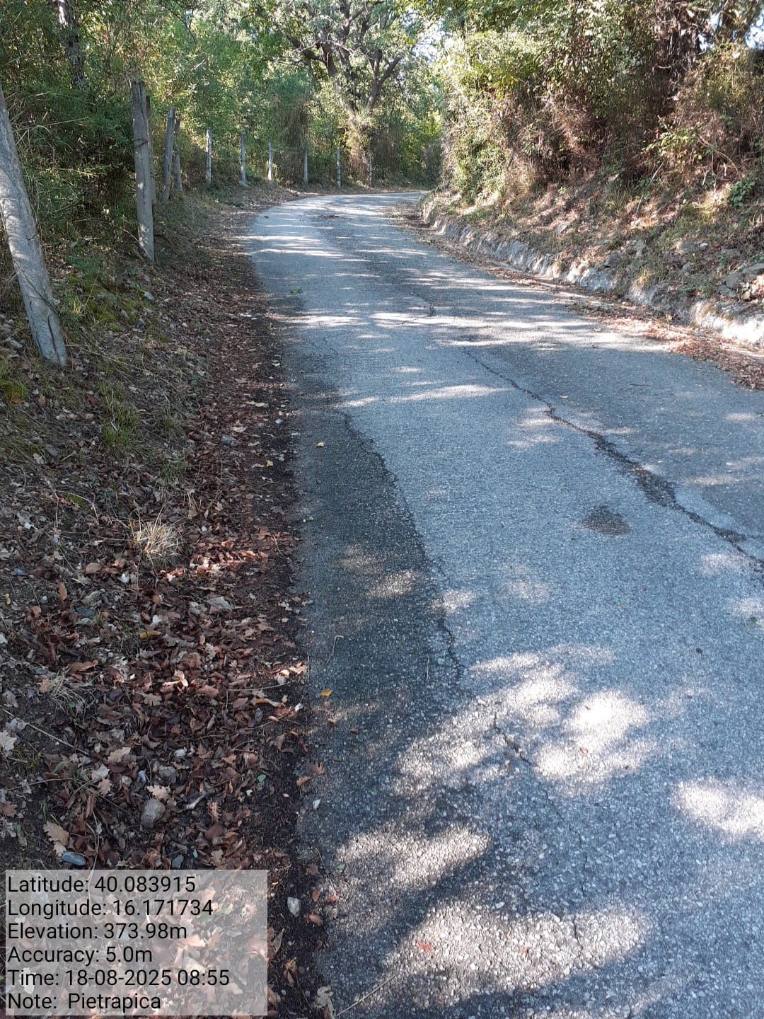 Galleria Fotografica Immagine