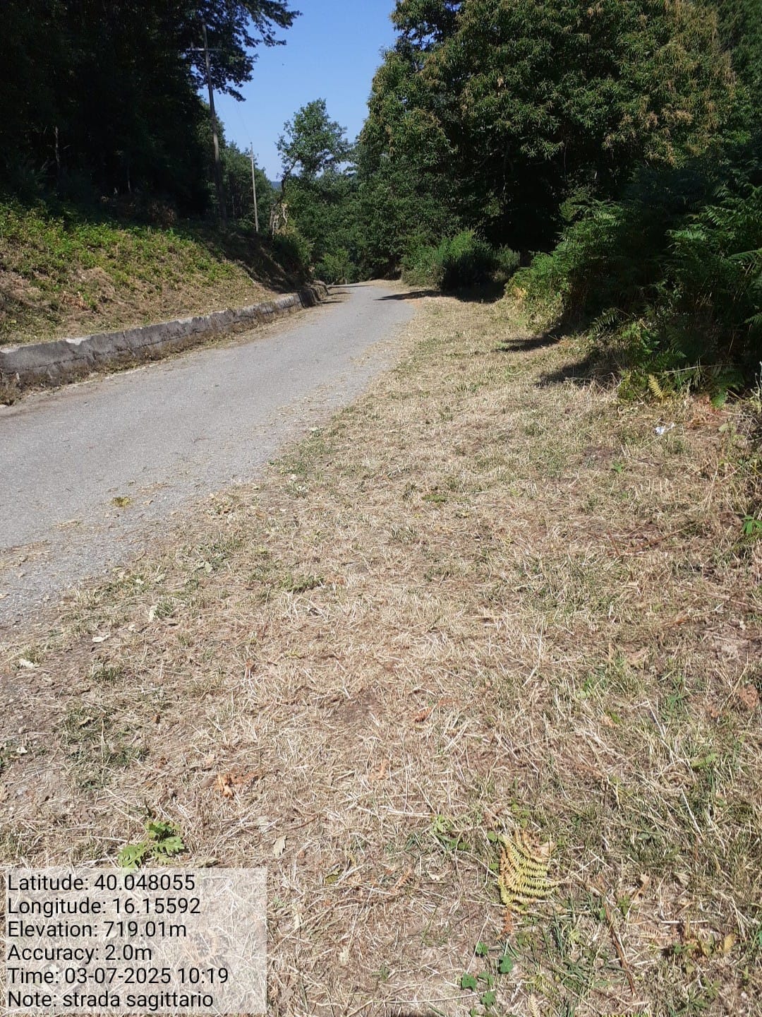 Galleria Fotografica Immagine