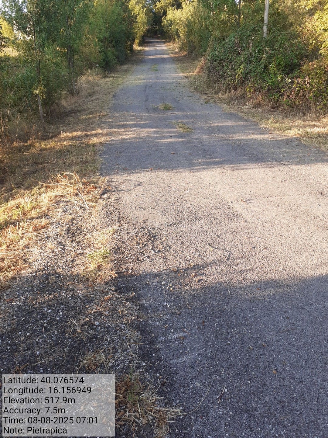 Galleria Fotografica Immagine