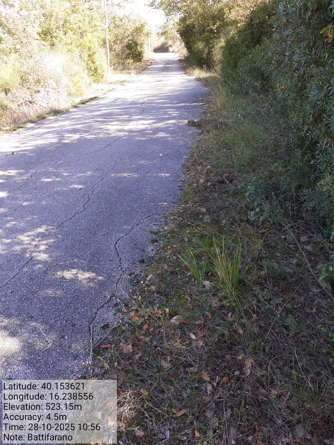 Galleria Fotografica Immagine