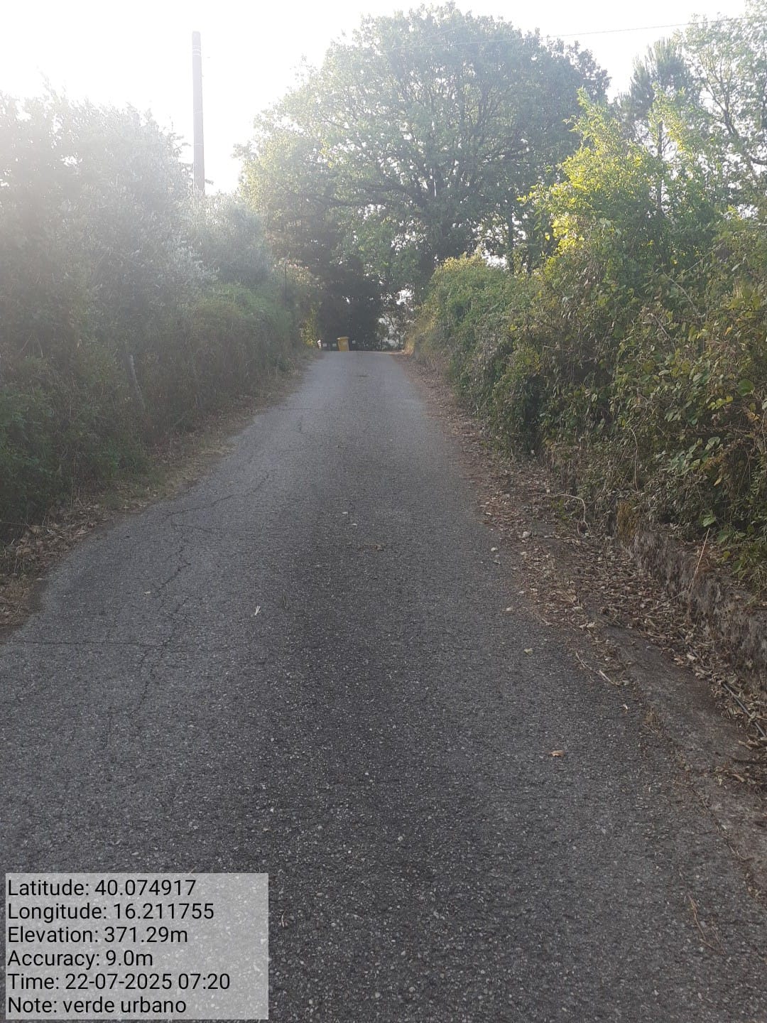 Galleria Fotografica Immagine