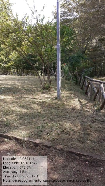 Galleria Fotografica Immagine