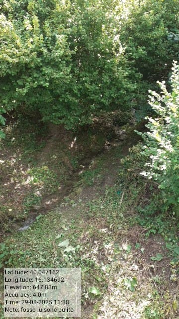 Galleria Fotografica Immagine