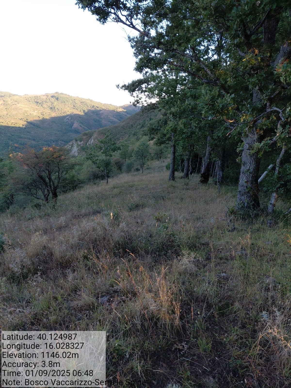 Galleria Fotografica Immagine