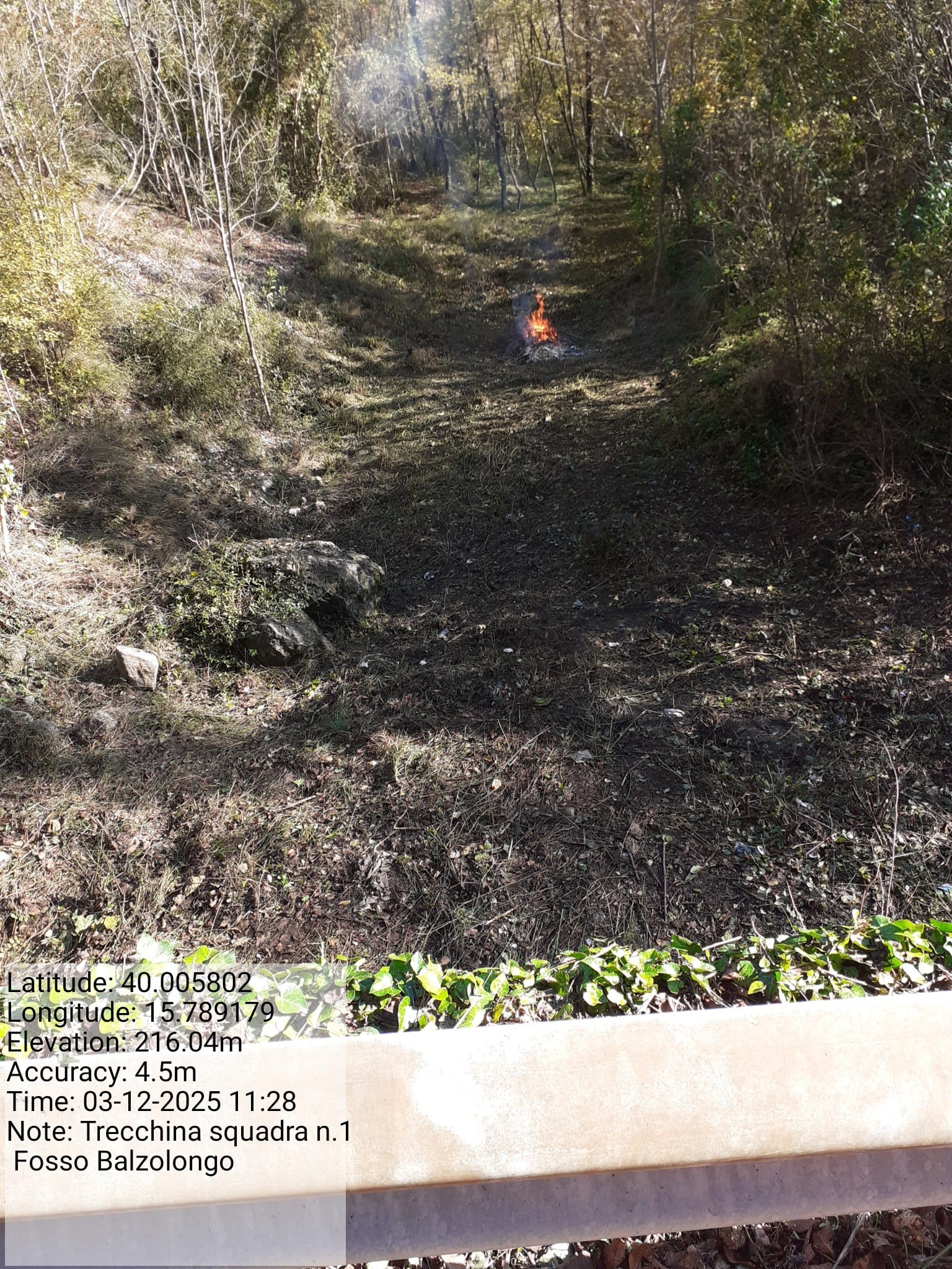 Galleria Fotografica Immagine