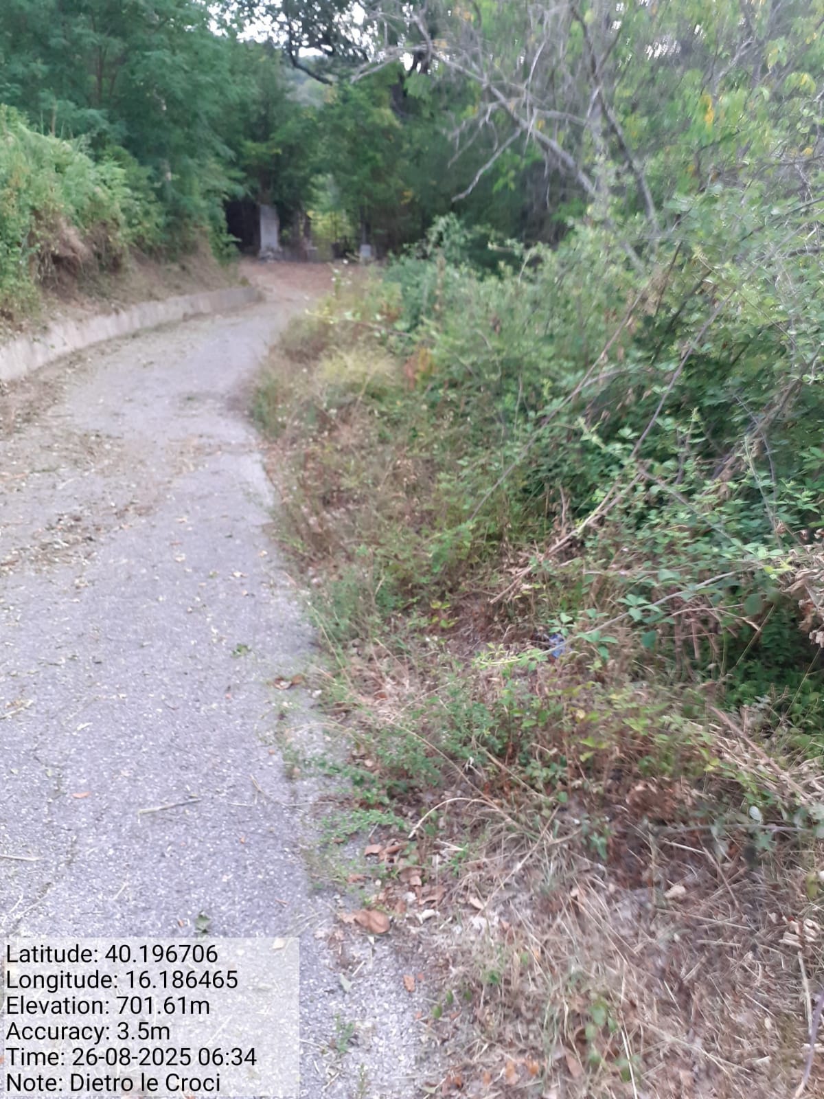 Galleria Fotografica Immagine