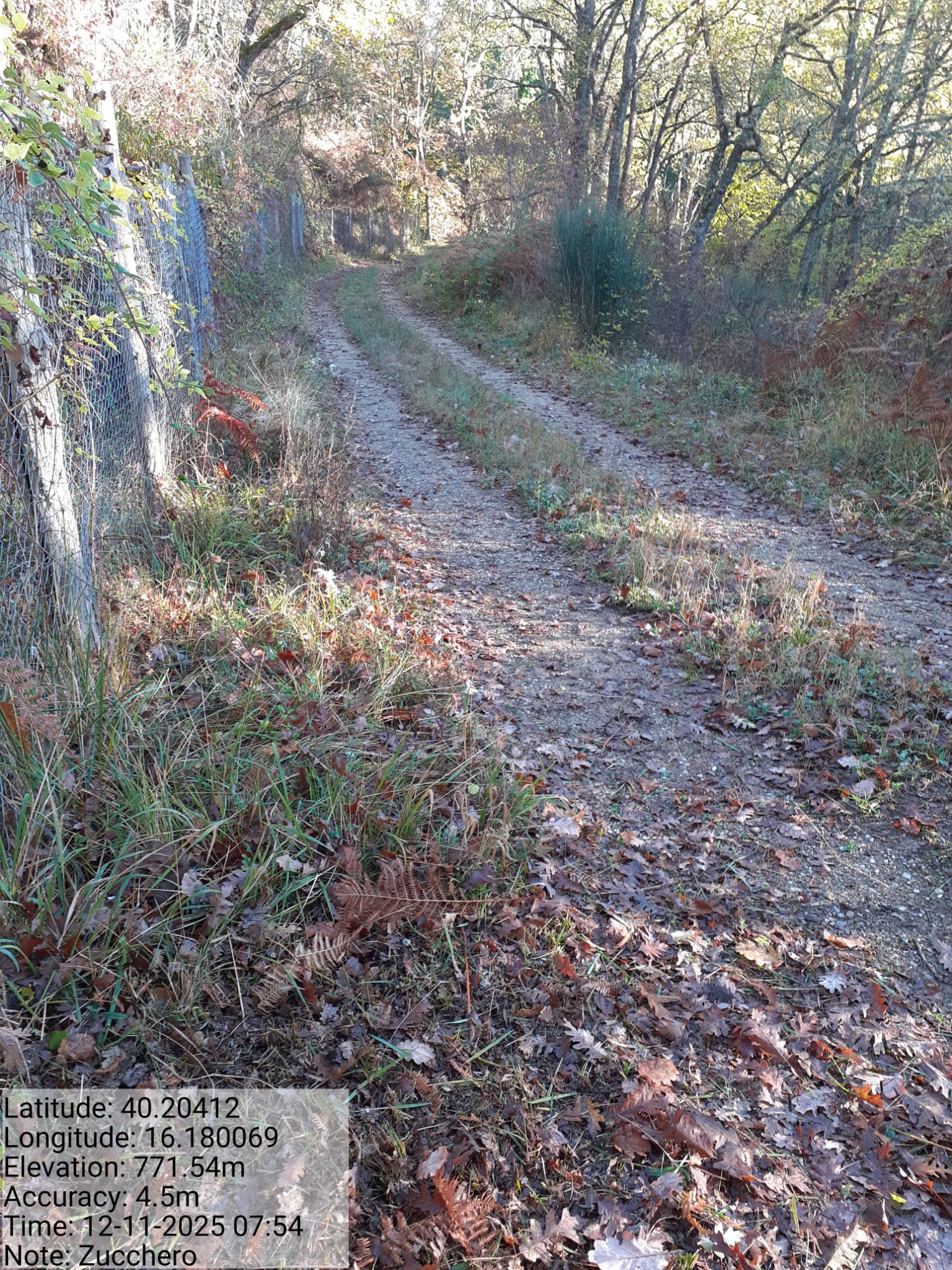 Galleria Fotografica Immagine