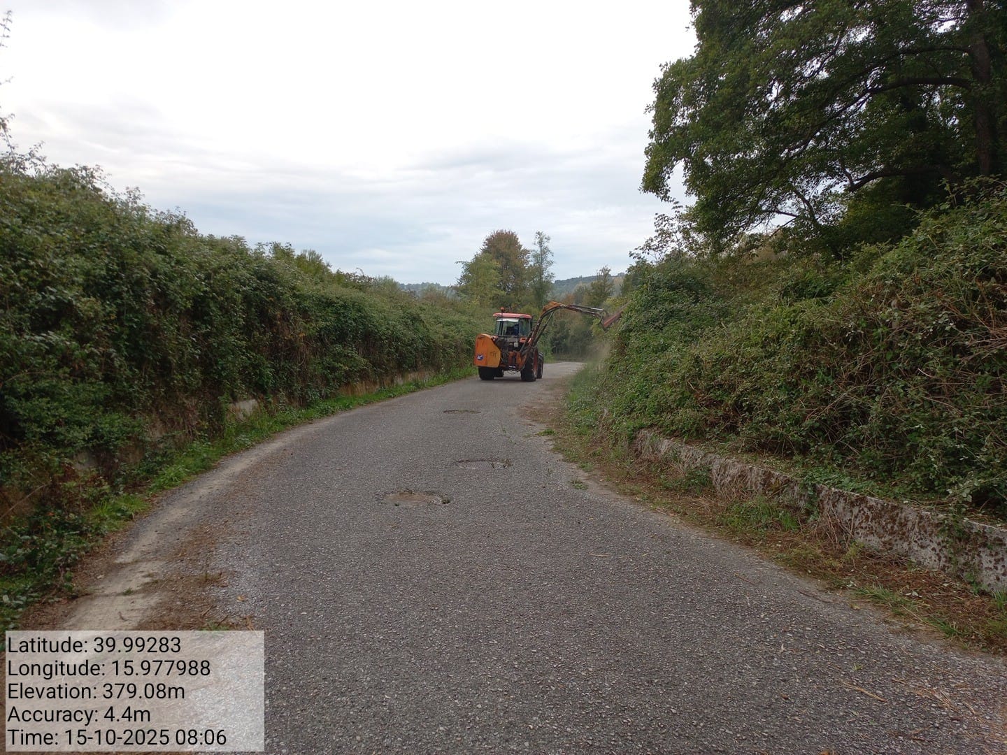 Galleria Fotografica Immagine