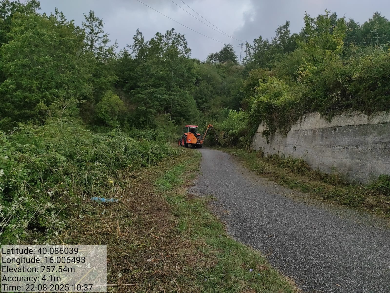 Galleria Fotografica Immagine