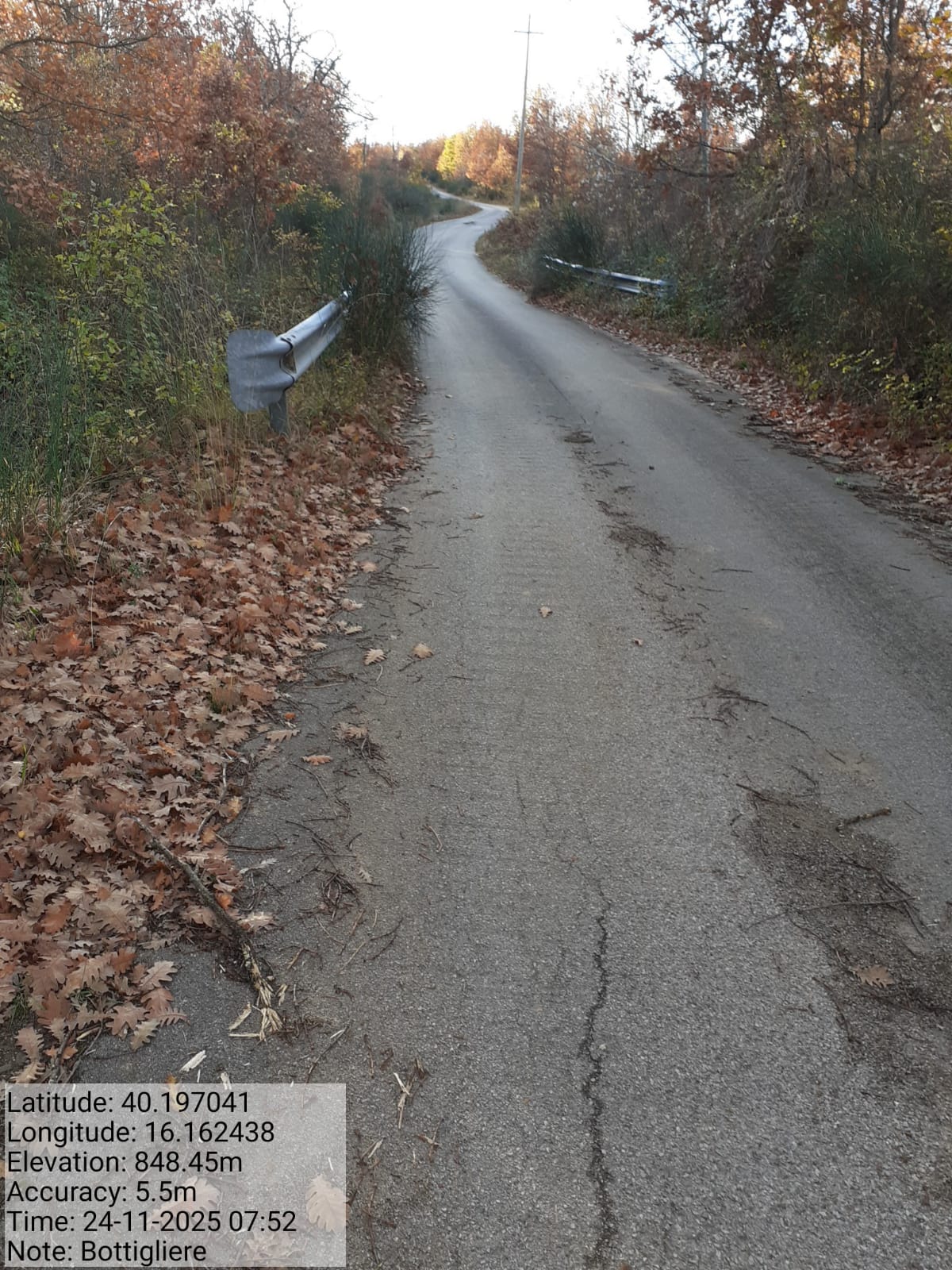 Galleria Fotografica Immagine