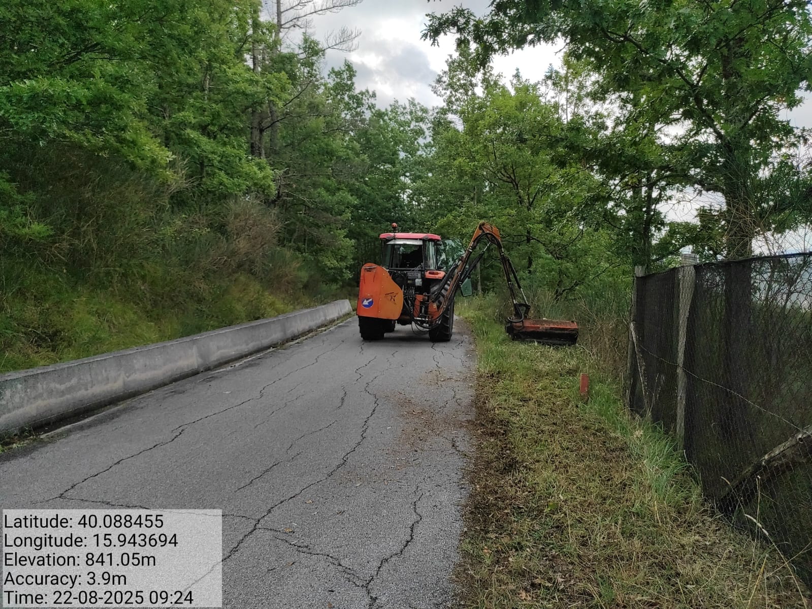 Galleria Fotografica Immagine