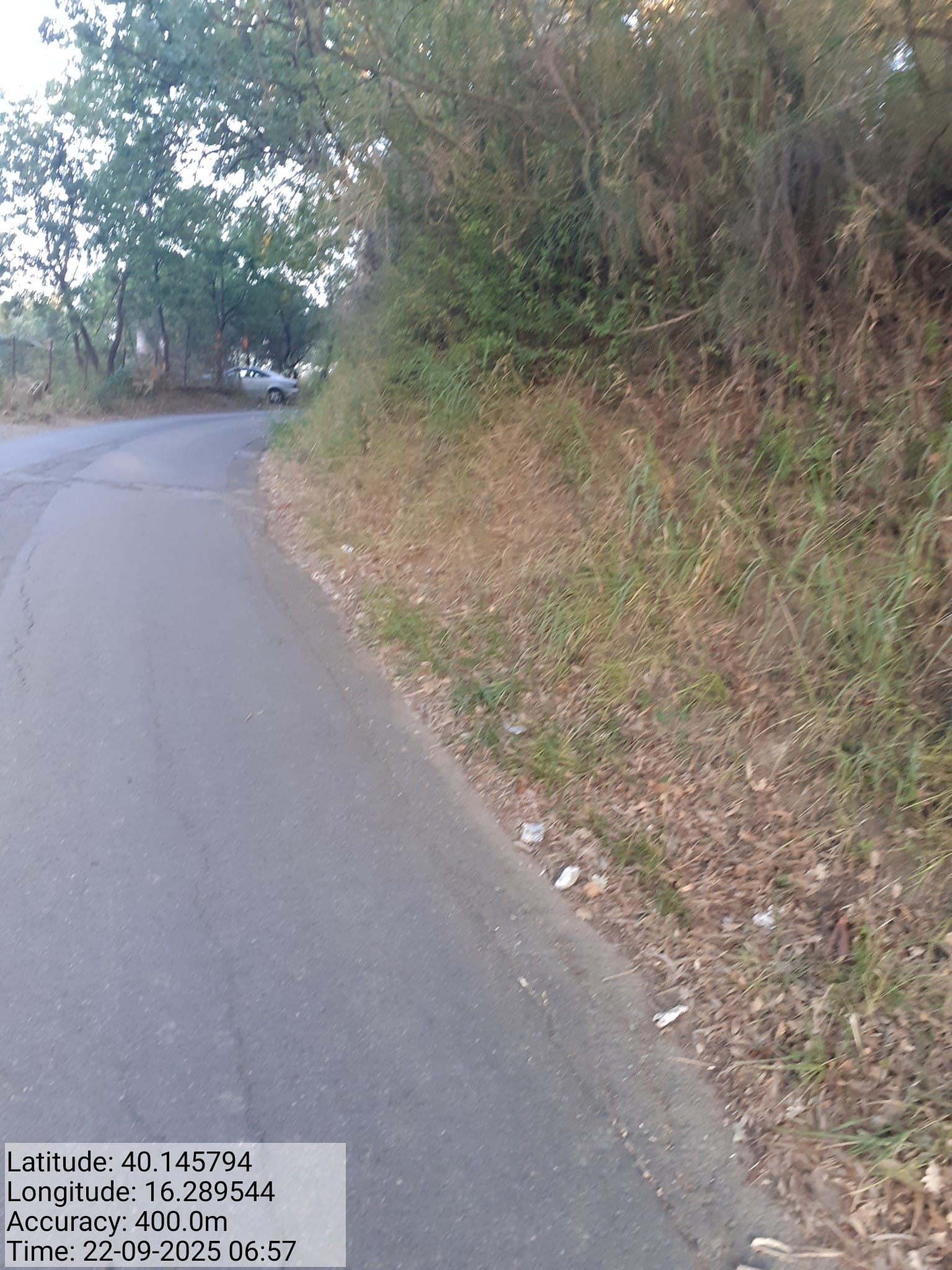 Galleria Fotografica Immagine