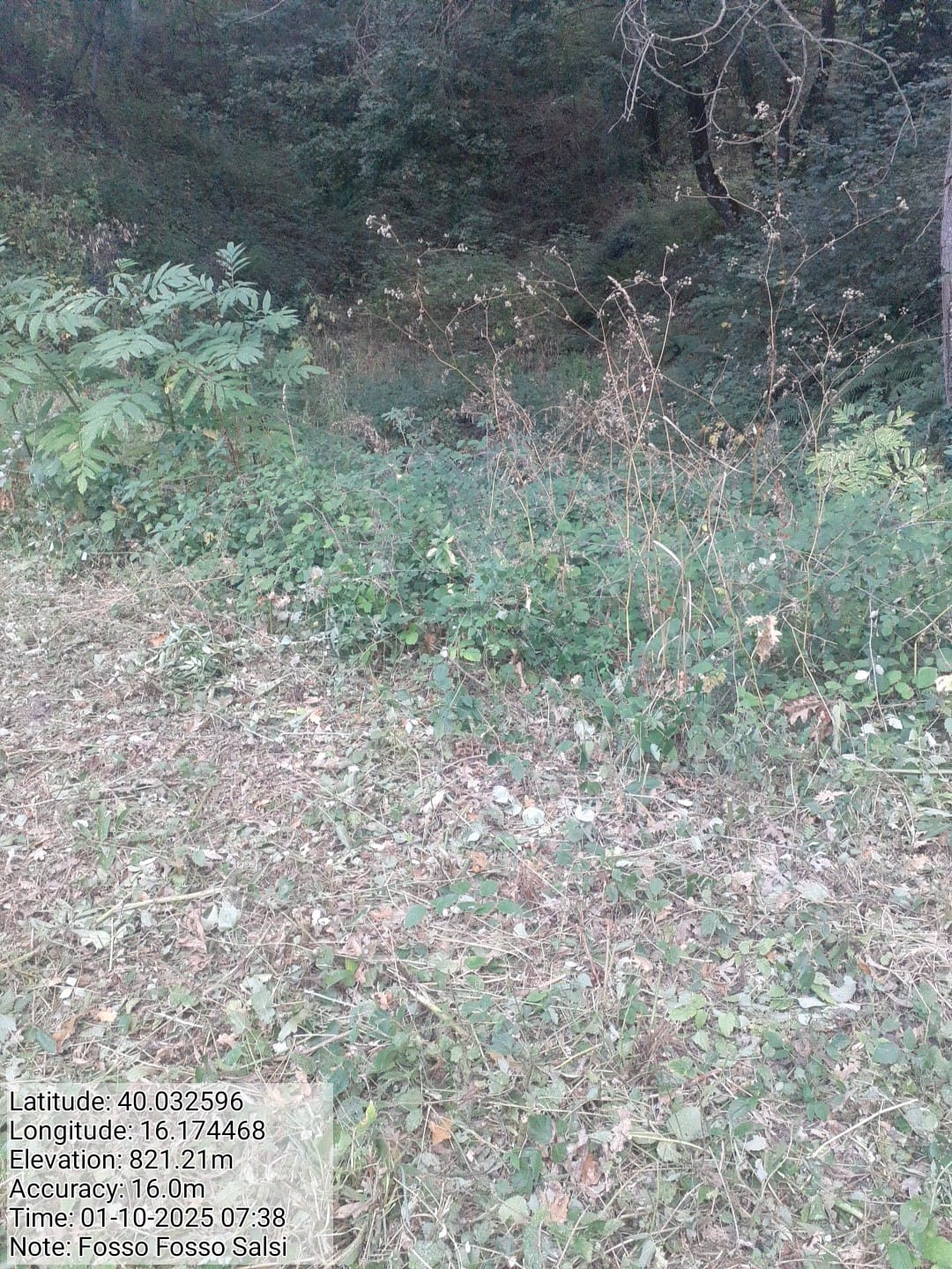 Galleria Fotografica Immagine