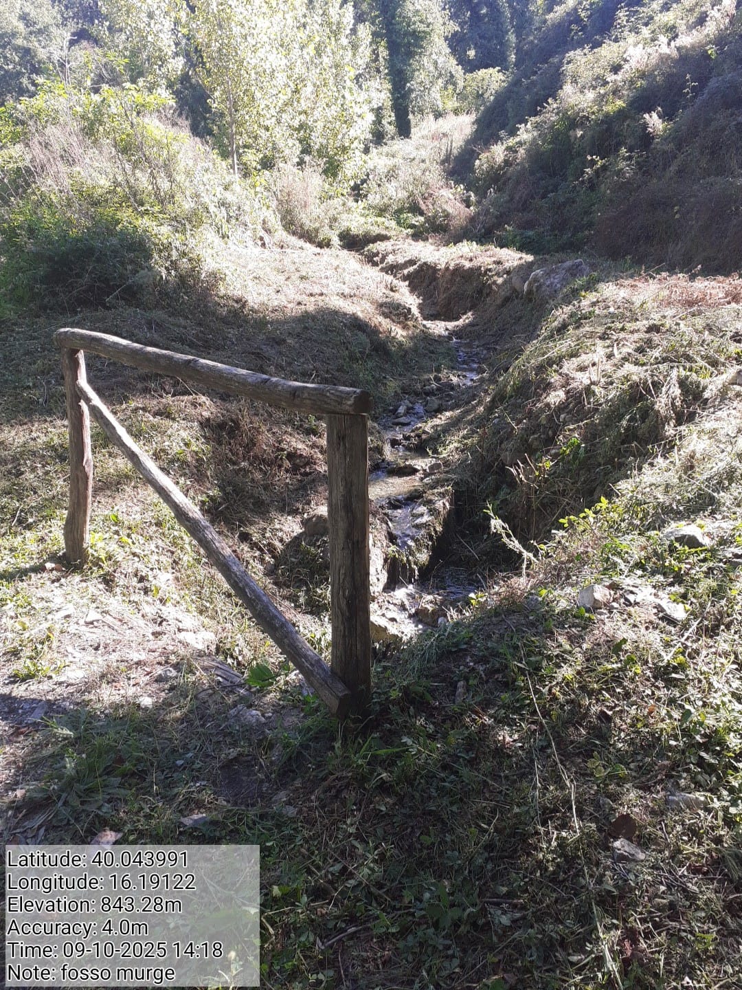 Galleria Fotografica Immagine