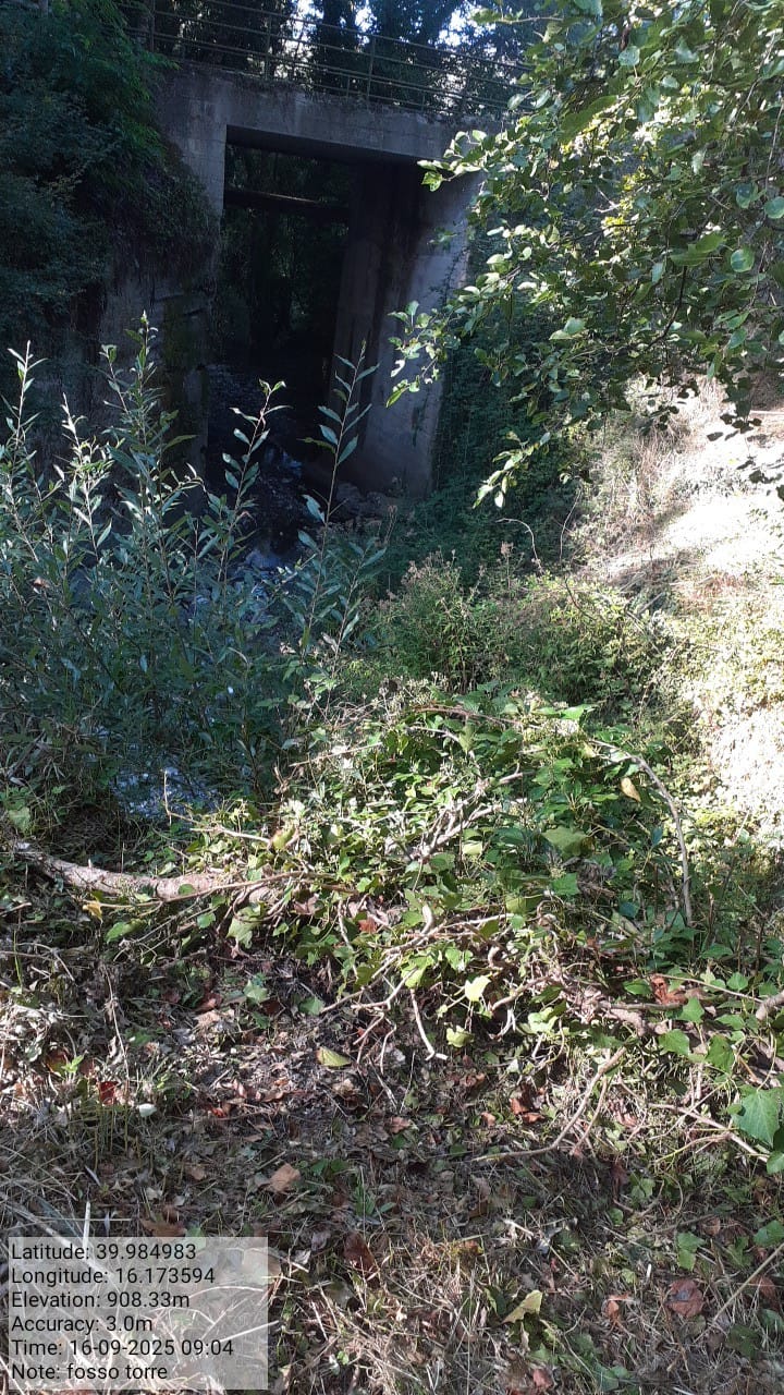 Galleria Fotografica Immagine