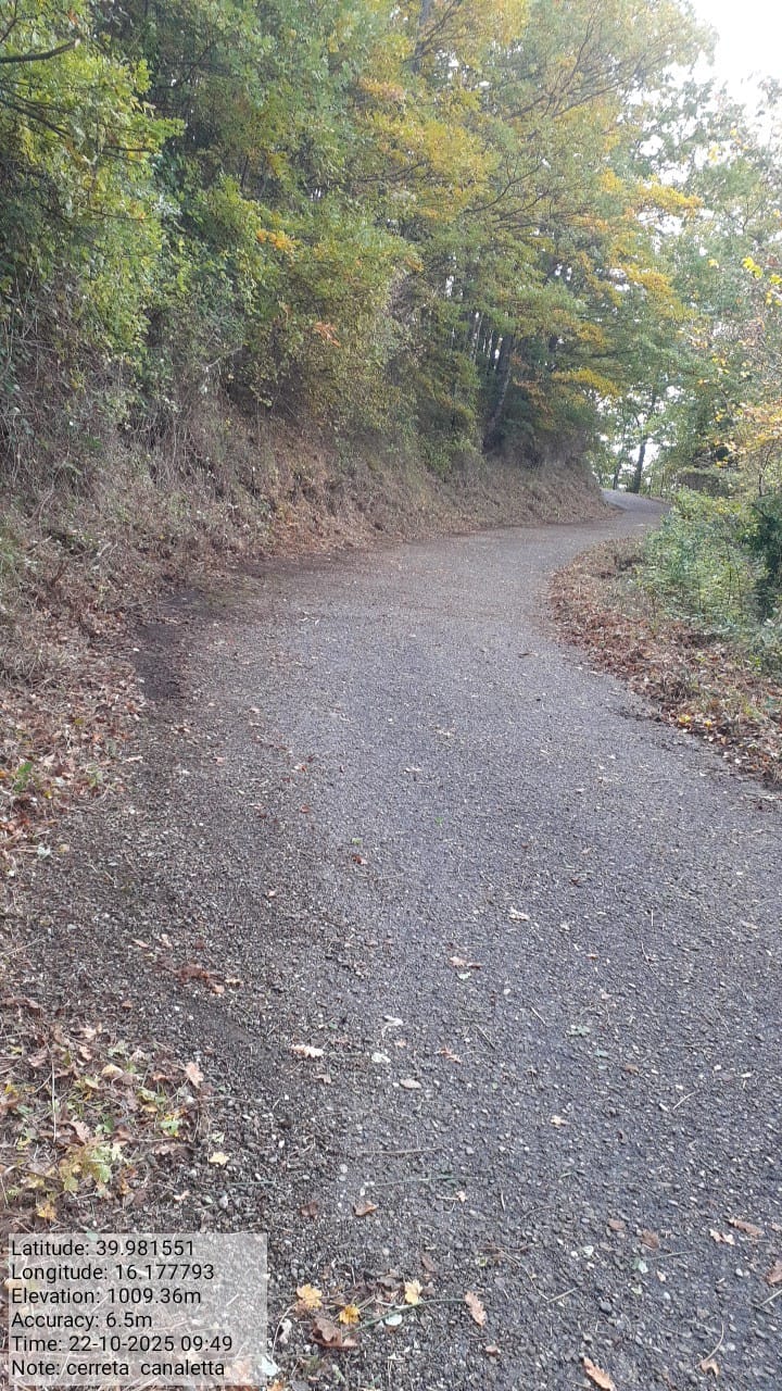 Galleria Fotografica Immagine