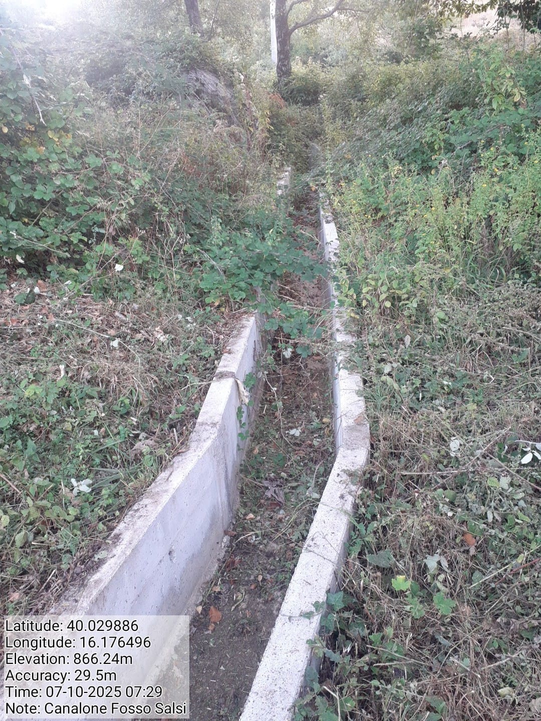 Galleria Fotografica Immagine