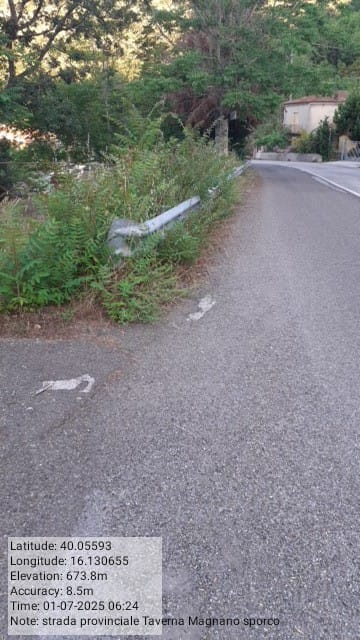 Galleria Fotografica Immagine