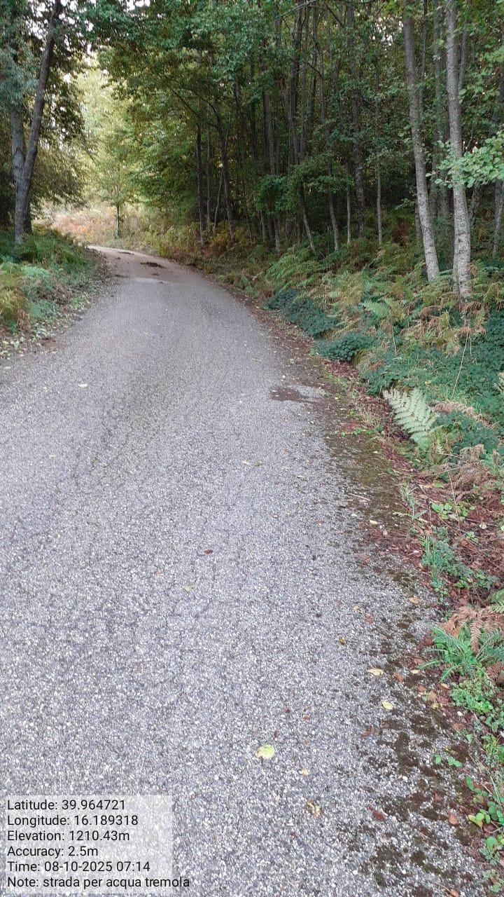 Galleria Fotografica Immagine