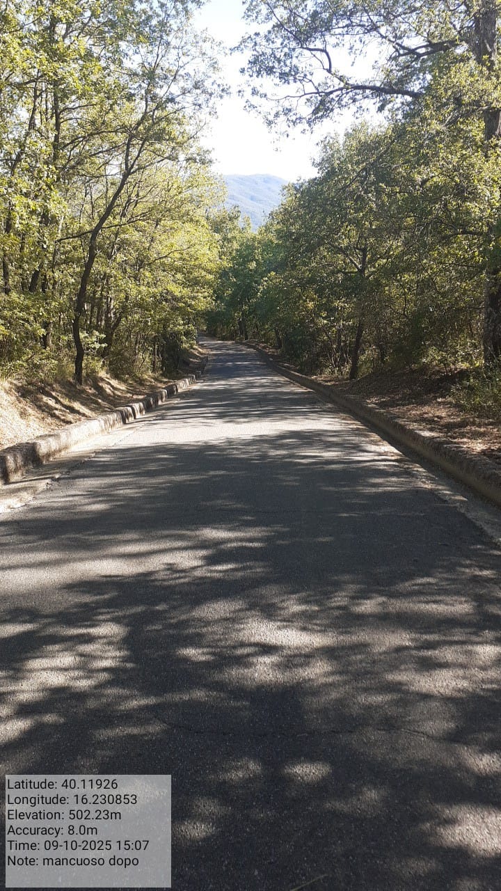 Galleria Fotografica Immagine