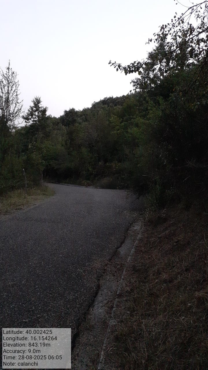 Galleria Fotografica Immagine