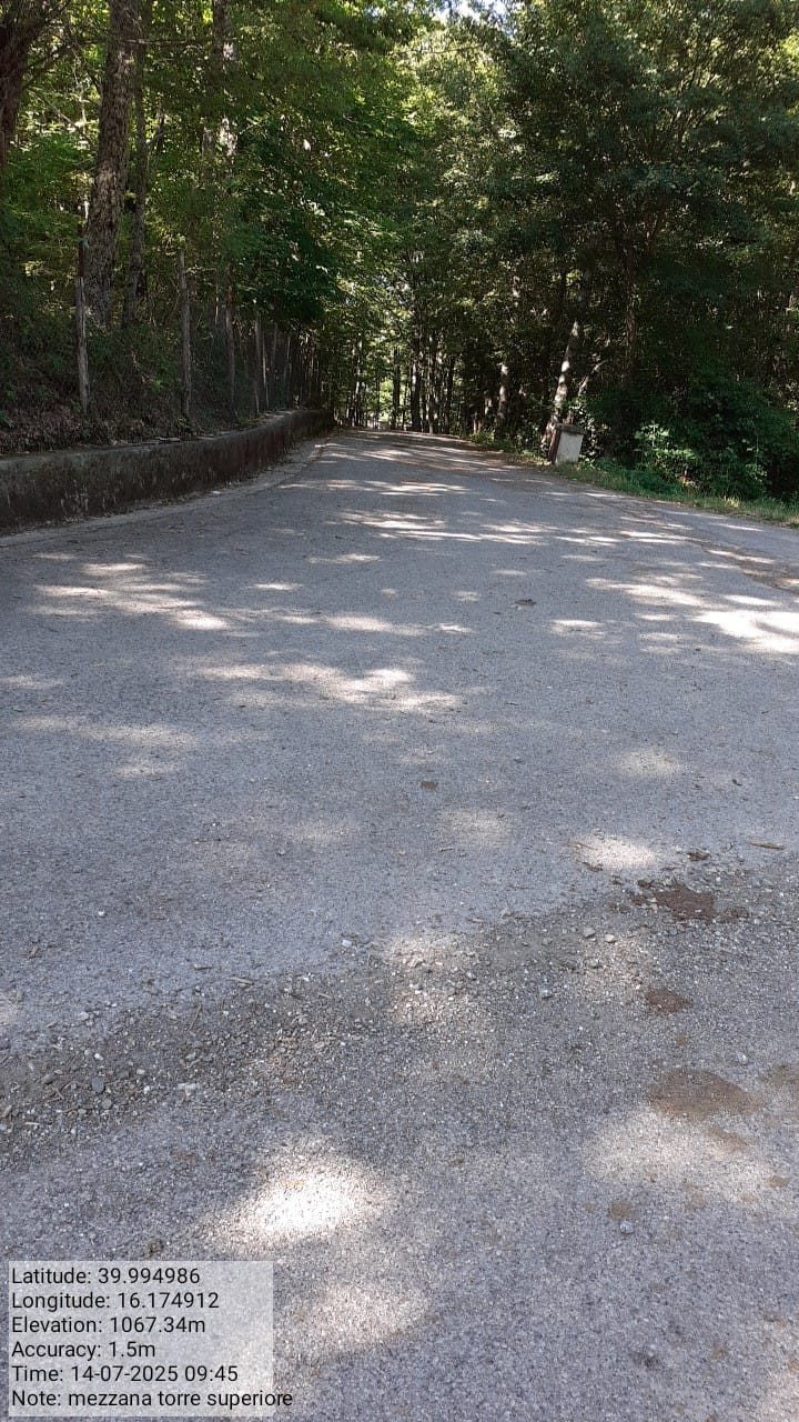 Galleria Fotografica Immagine