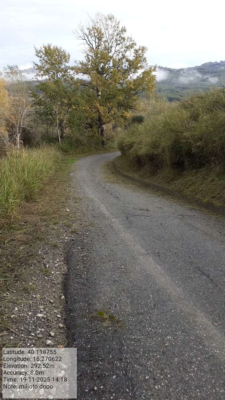 Galleria Fotografica Immagine