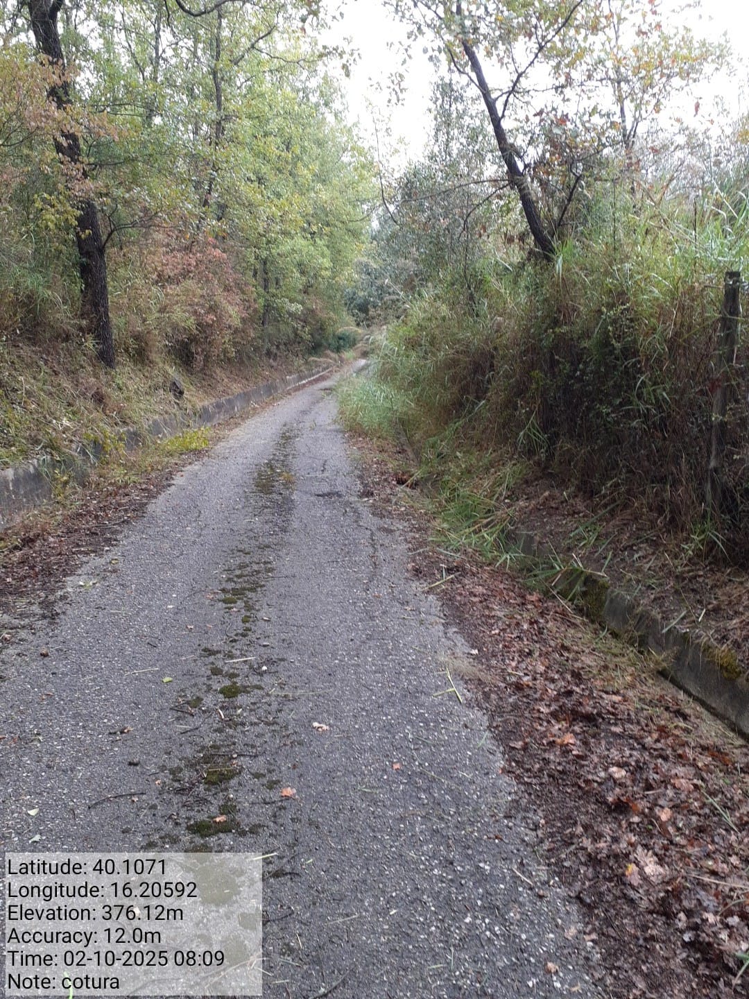 Galleria Fotografica Immagine