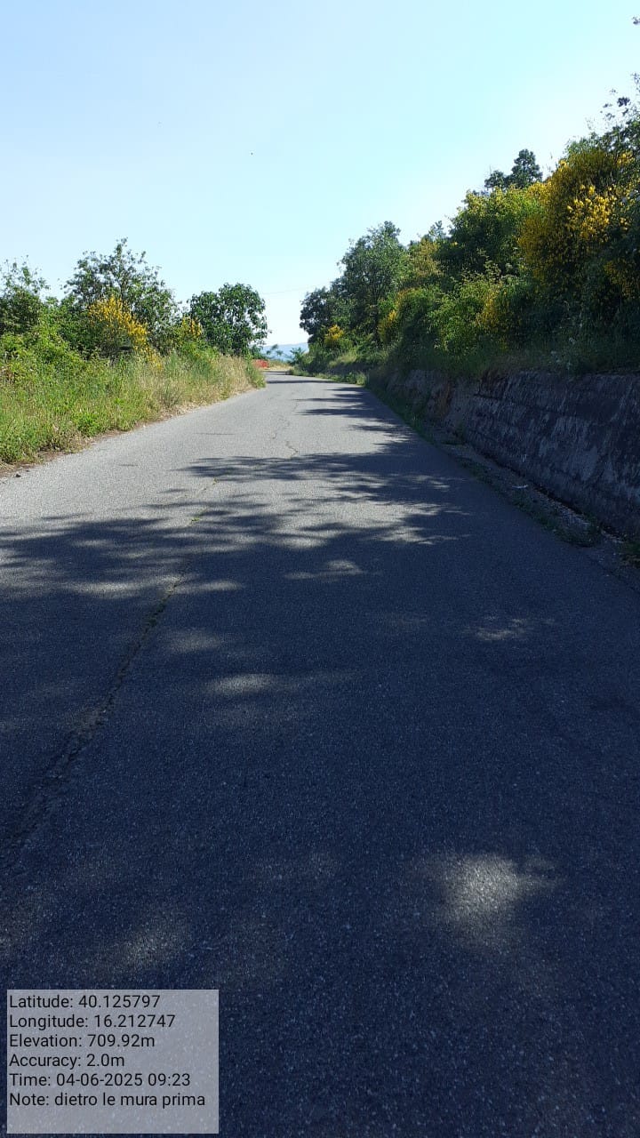 Galleria Fotografica Immagine