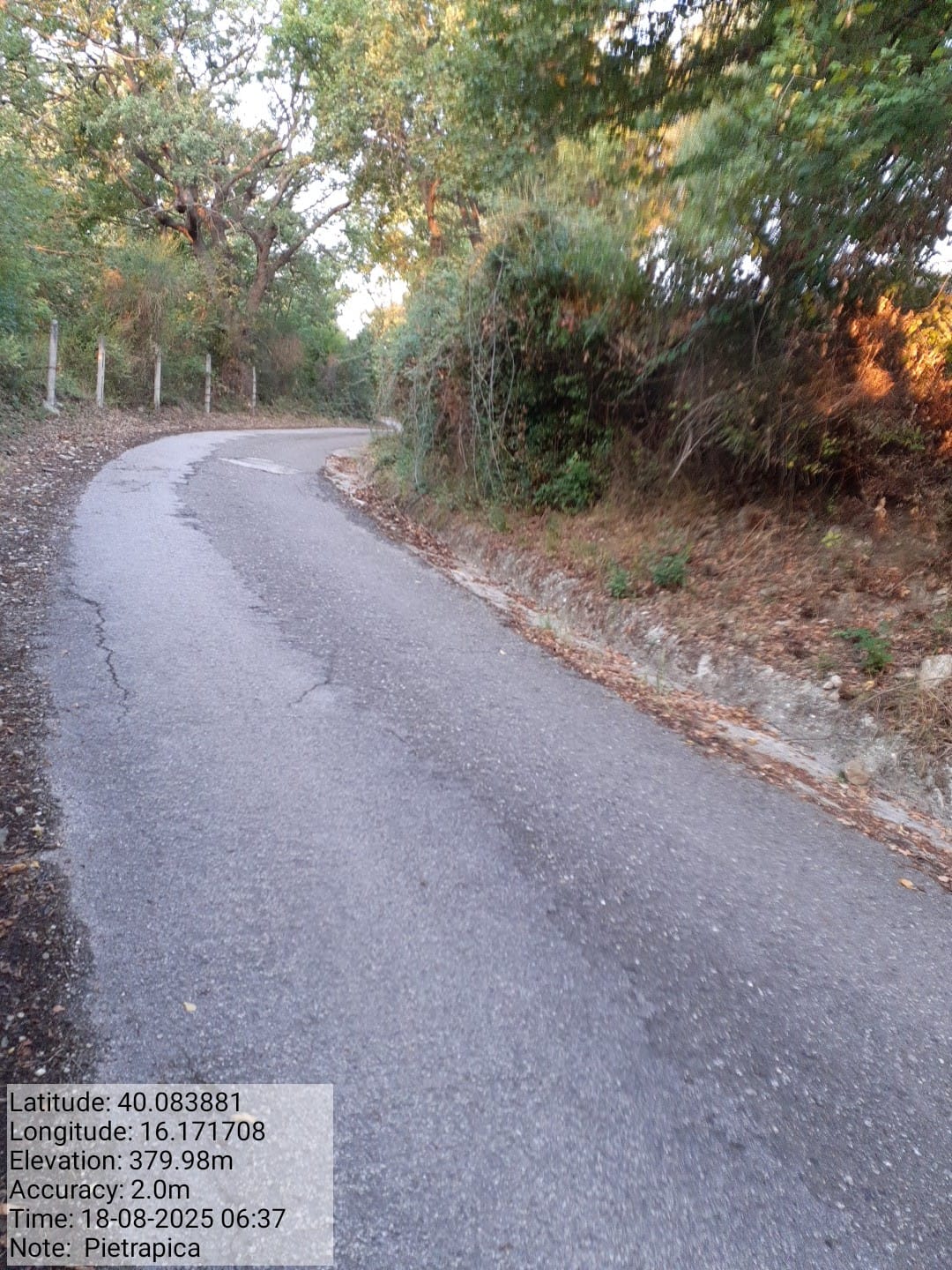 Galleria Fotografica Immagine