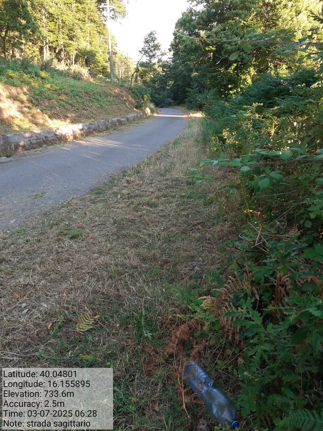 Galleria Fotografica Immagine