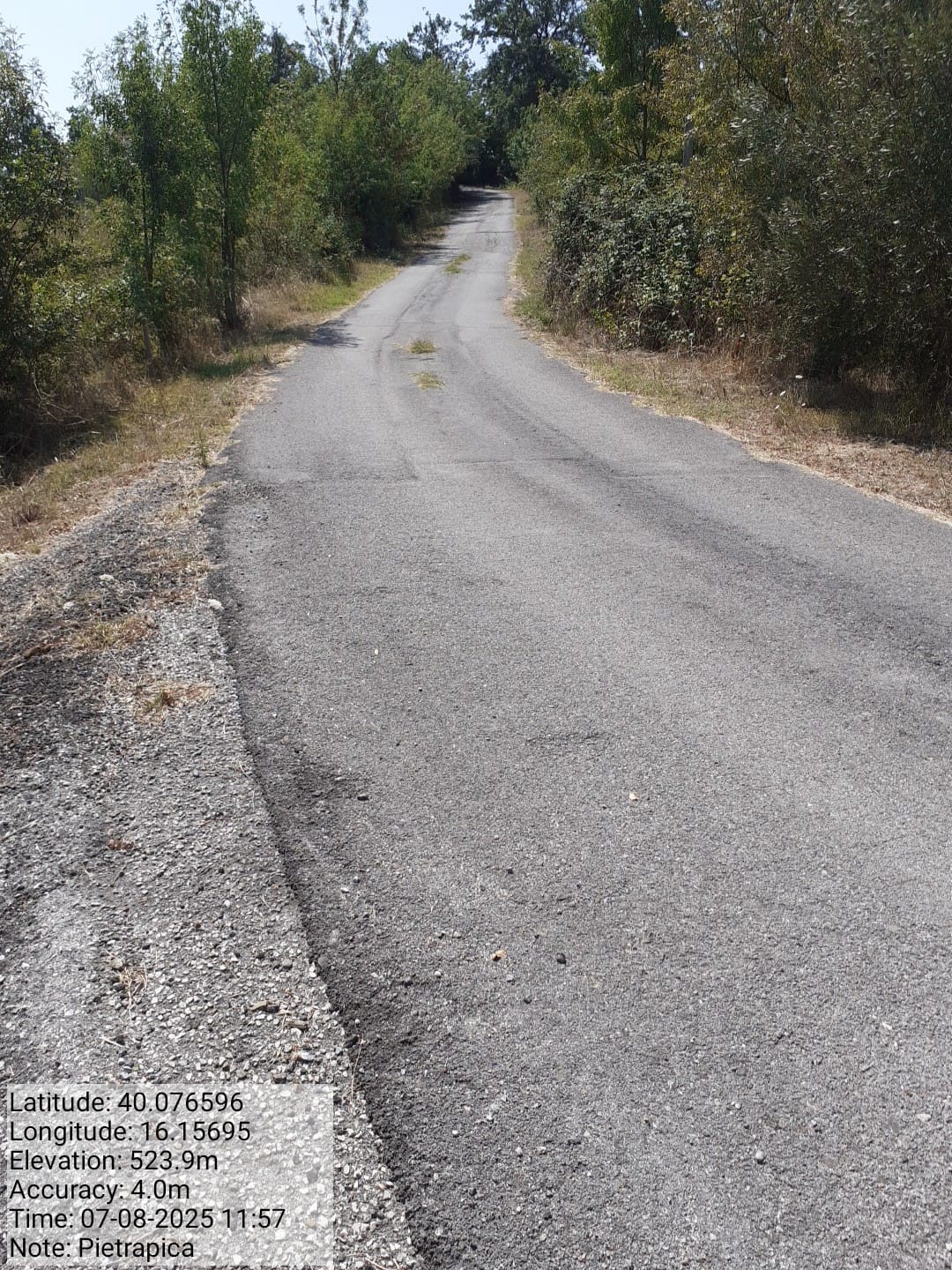 Galleria Fotografica Immagine