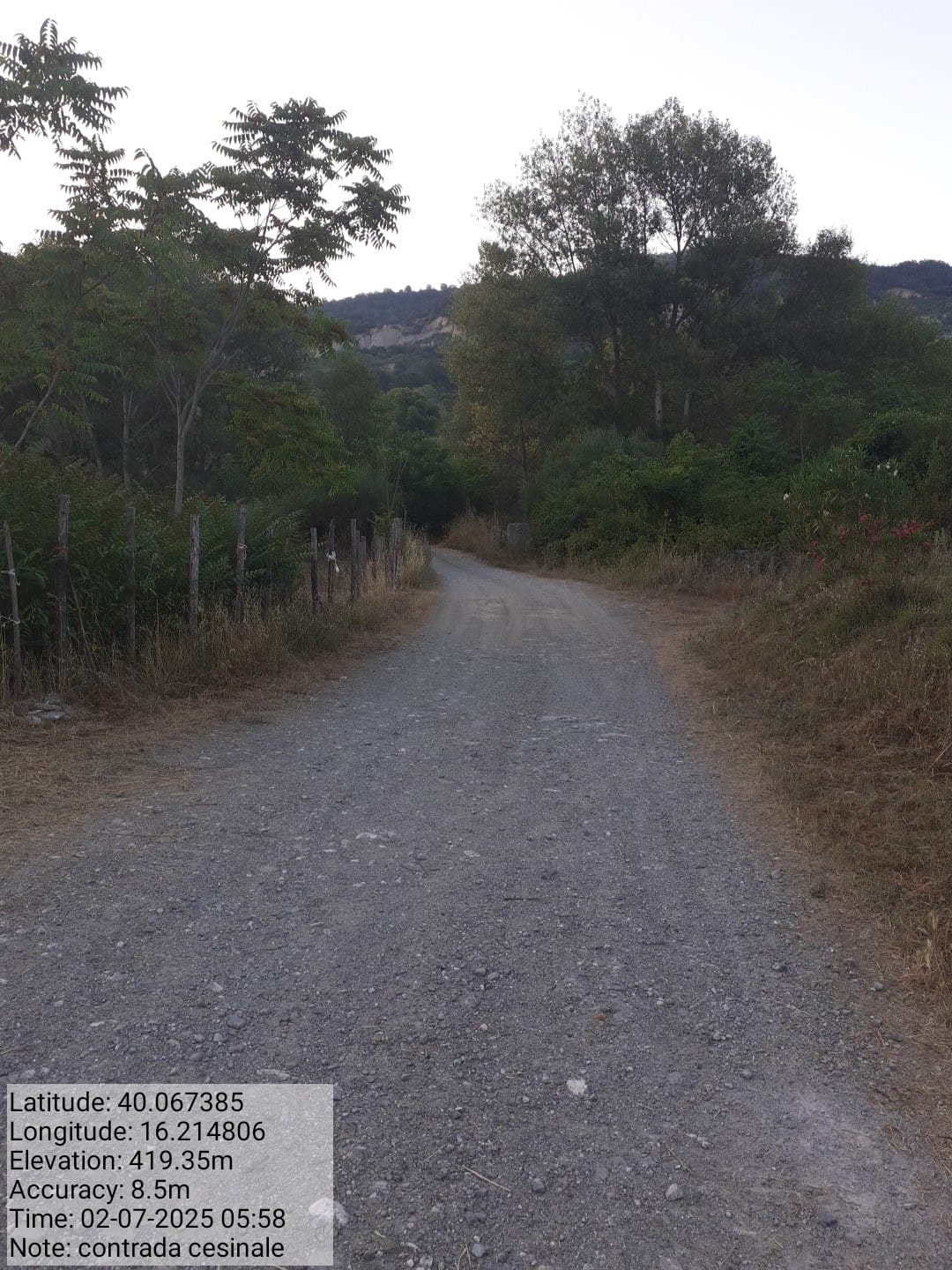 Galleria Fotografica Immagine