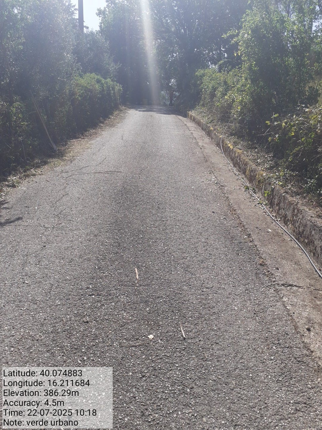 Galleria Fotografica Immagine