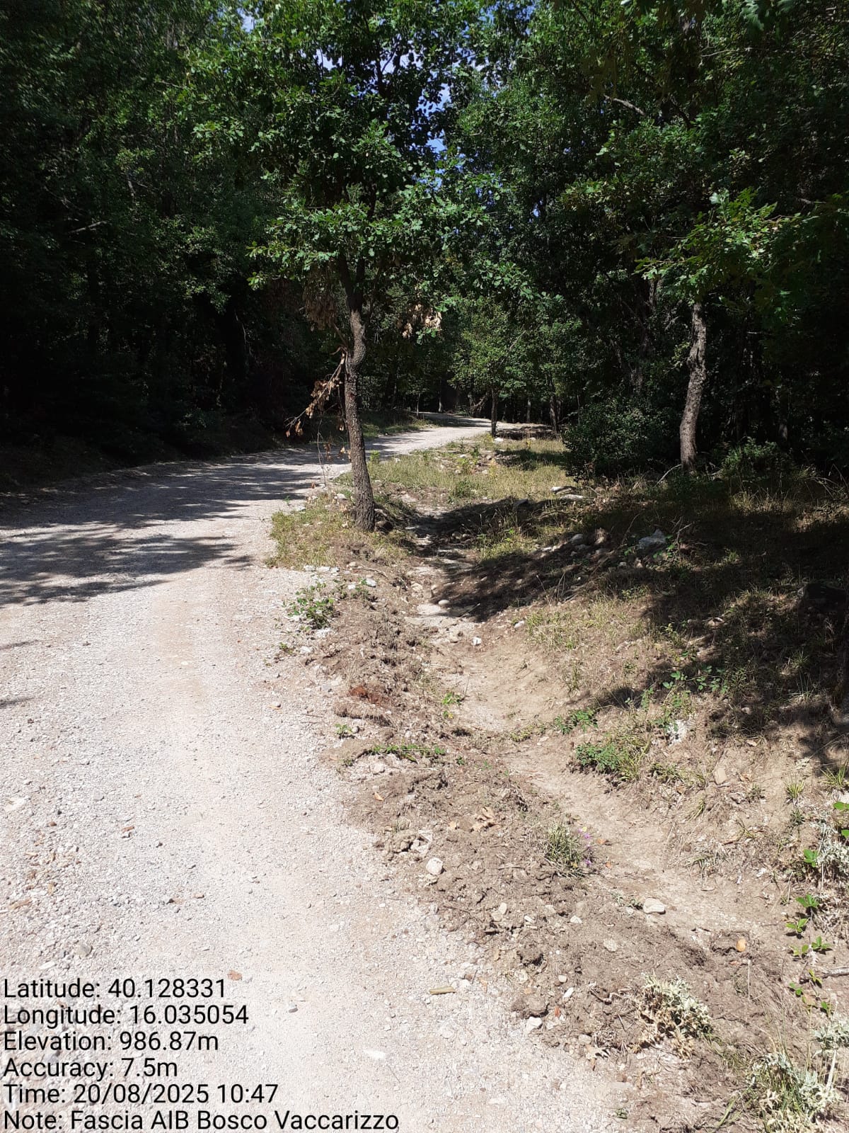 Galleria Fotografica Immagine