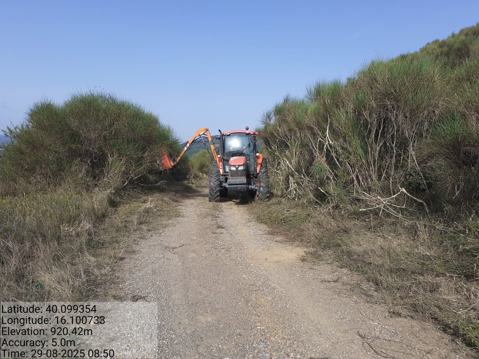 Galleria Fotografica Immagine