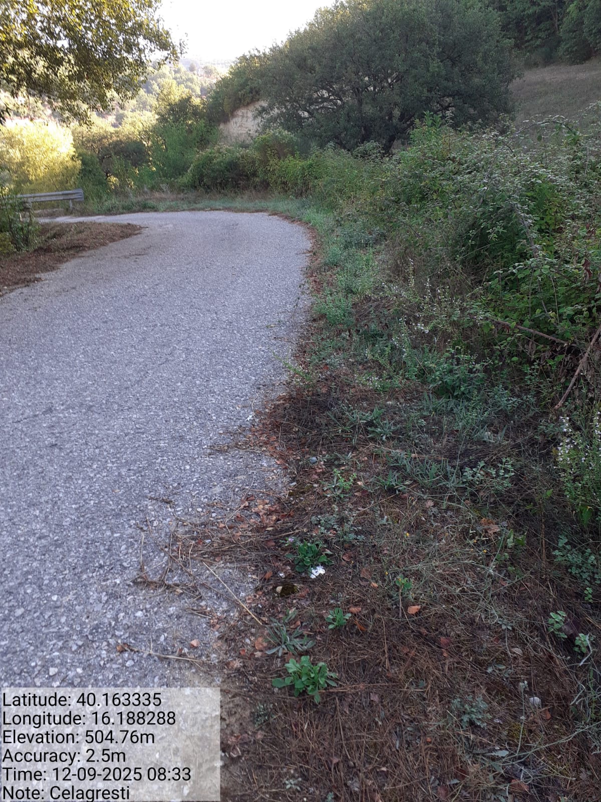 Galleria Fotografica Immagine