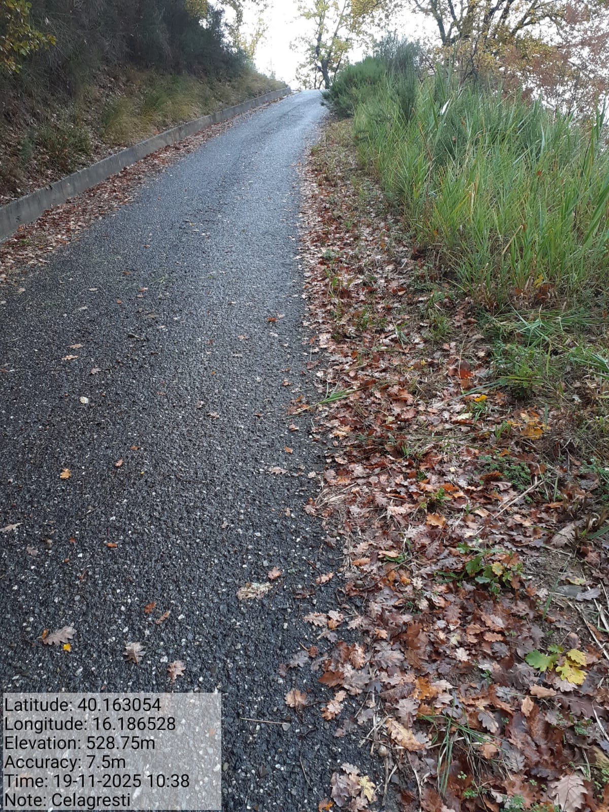 Galleria Fotografica Immagine