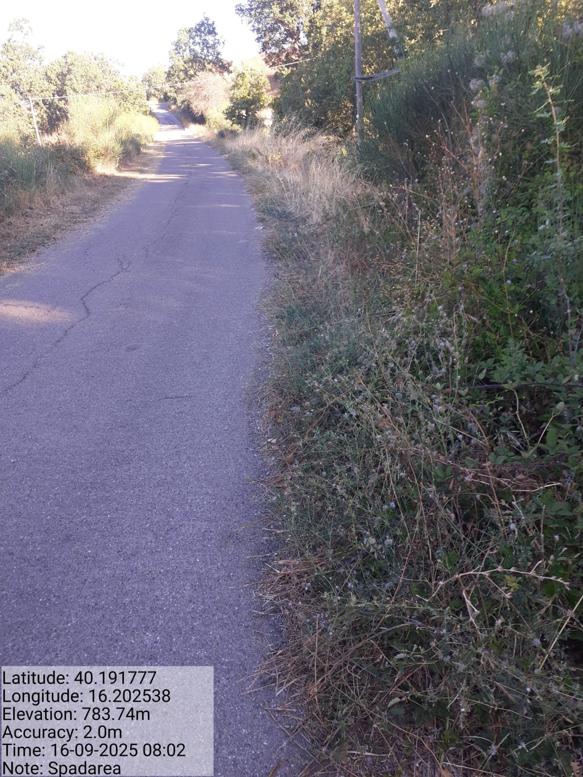 Galleria Fotografica Immagine