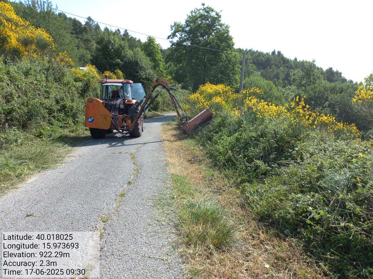 Galleria Fotografica Immagine