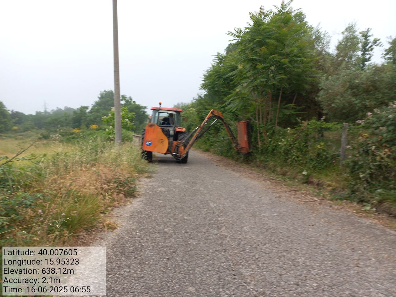 Galleria Fotografica Immagine