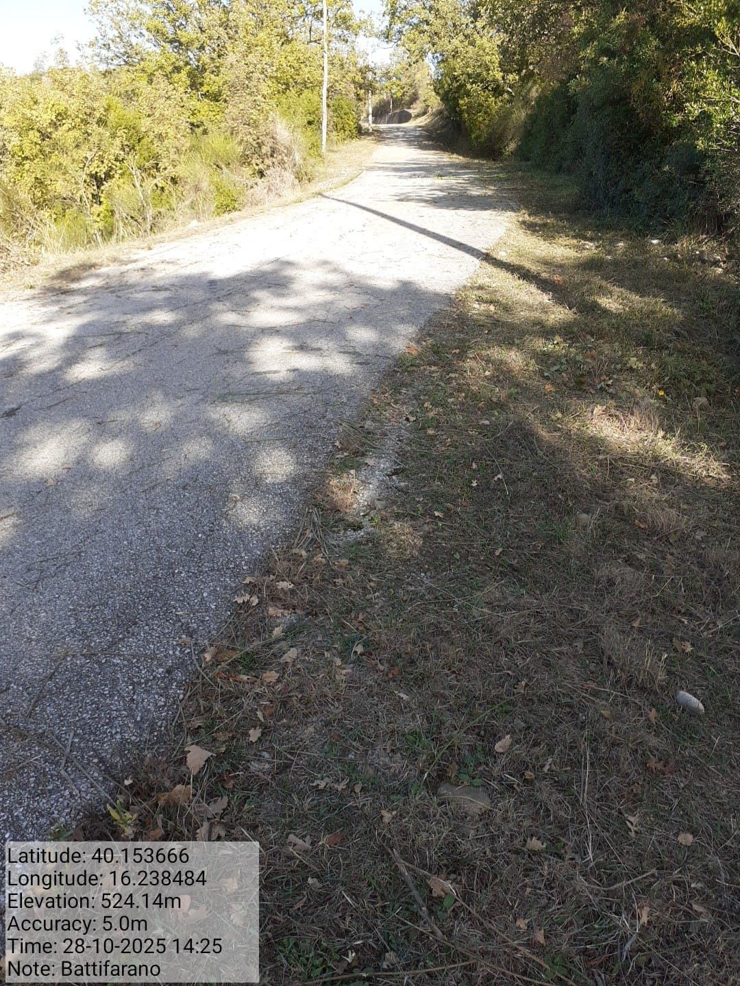 Galleria Fotografica Immagine