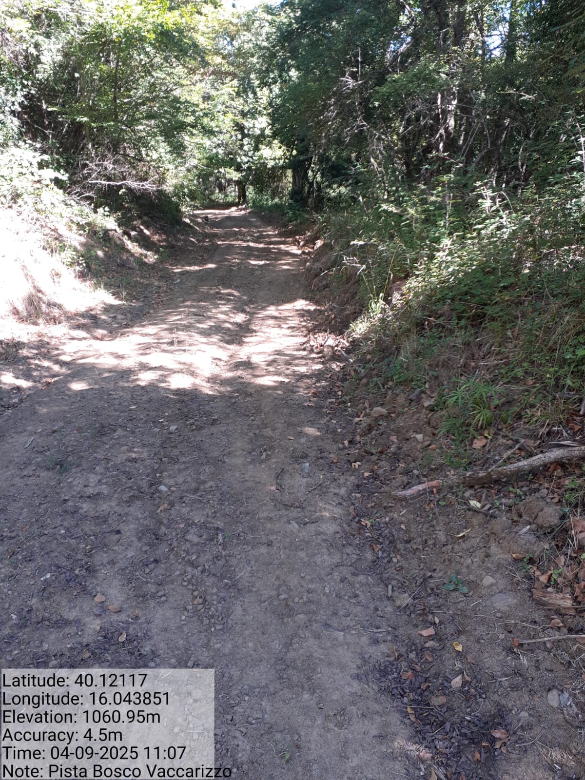 Galleria Fotografica Immagine