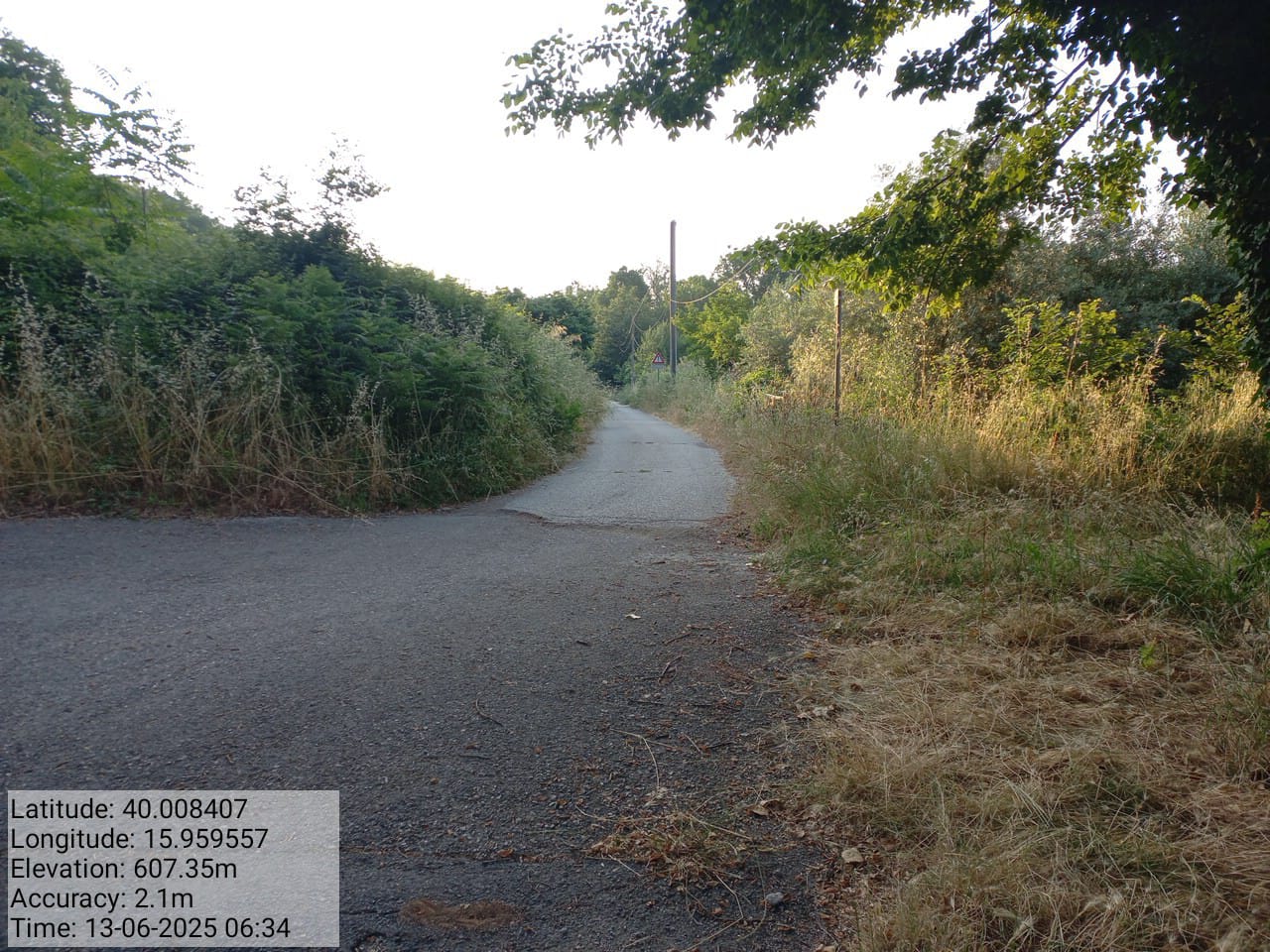 Galleria Fotografica Immagine