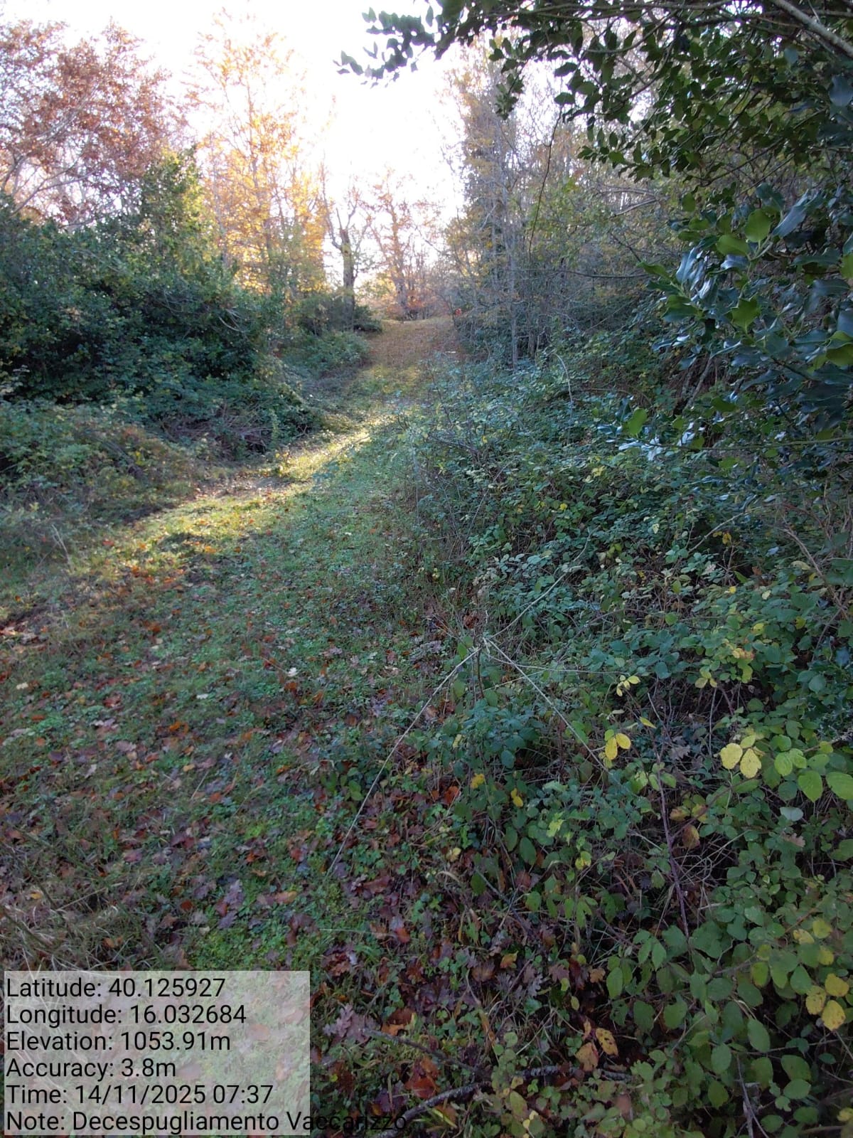 Galleria Fotografica Immagine