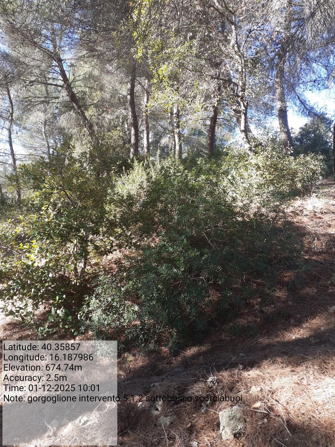 Galleria Fotografica Immagine