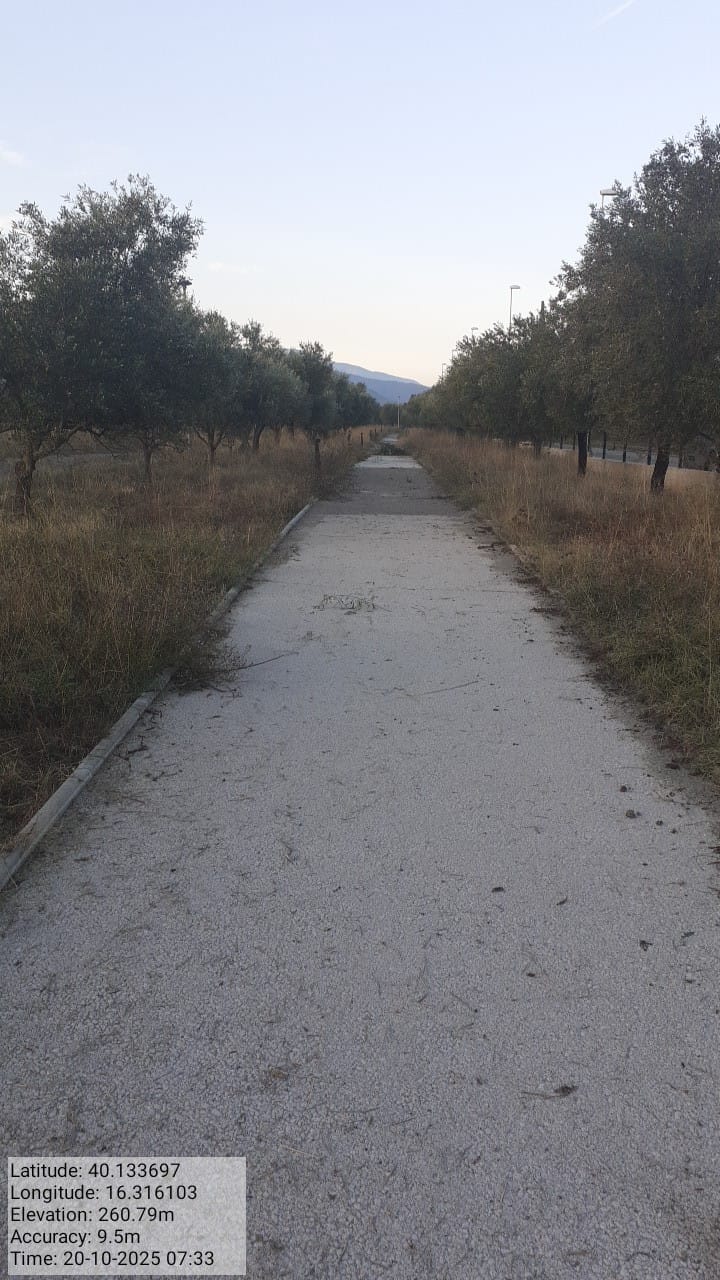 Galleria Fotografica Immagine