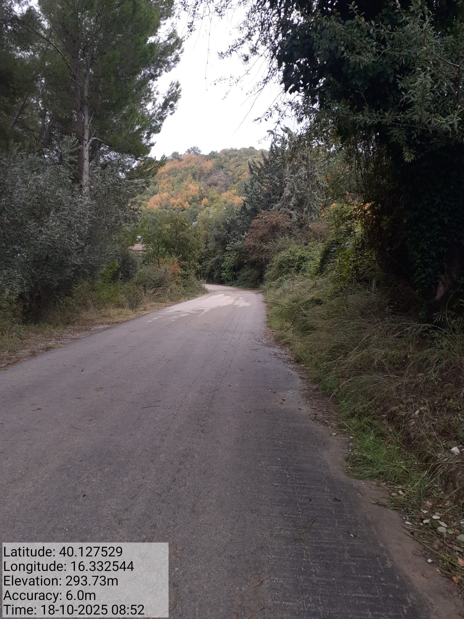 Galleria Fotografica Immagine