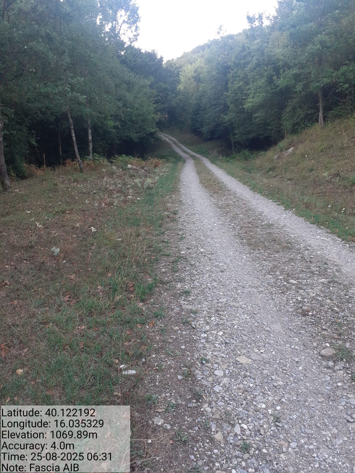 Galleria Fotografica Immagine