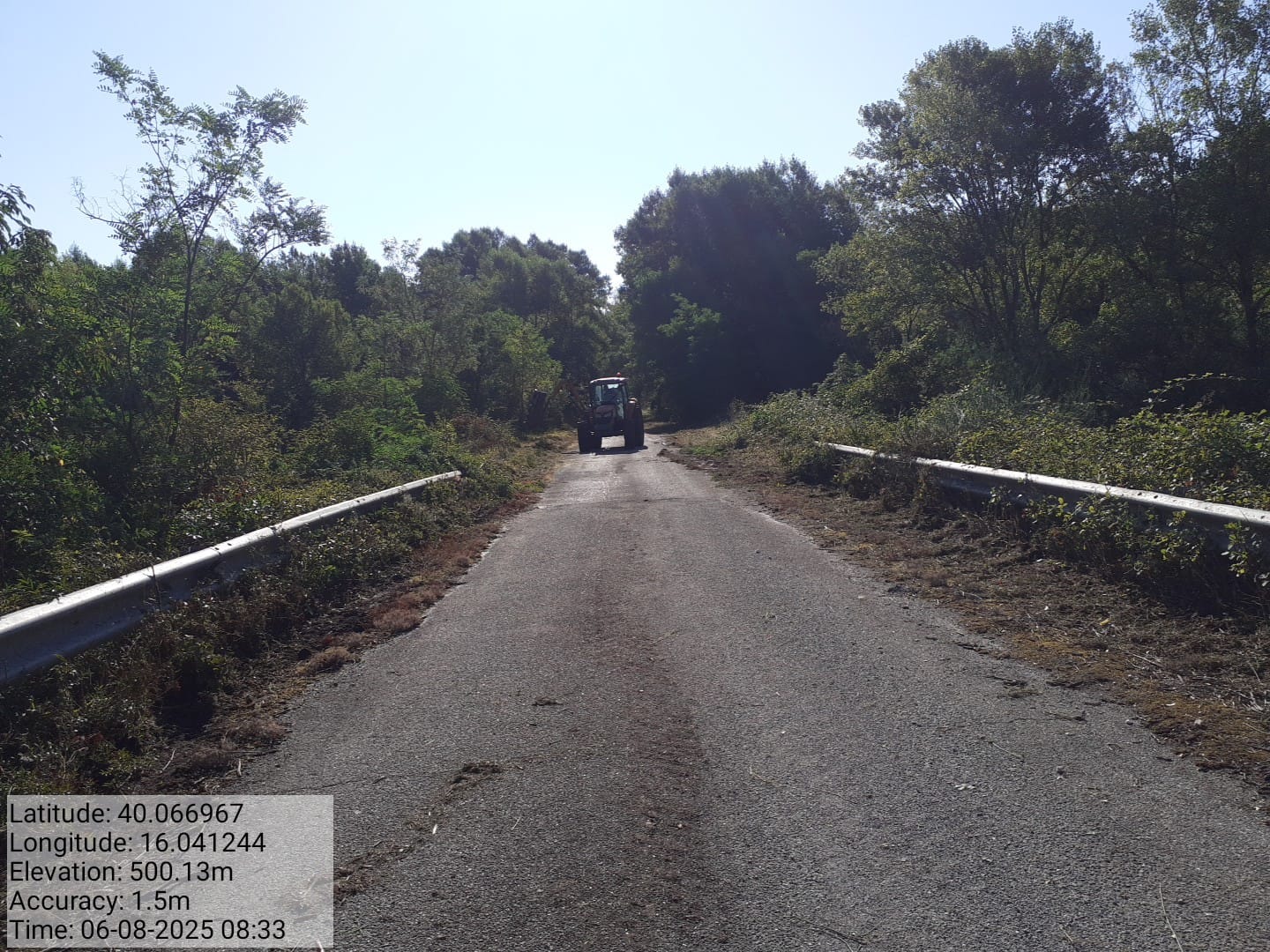 Galleria Fotografica Immagine